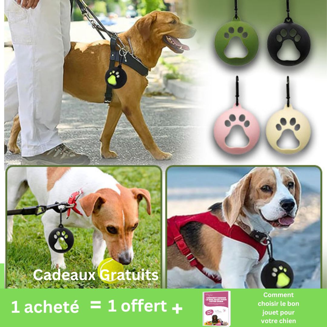 Porte-Balle pour chien | Easy-Ball™ - News-for-dog.com