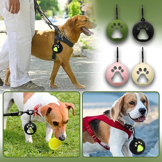 Porte-Balle pour chien | Easy-Ball™ - News-for-dog.com