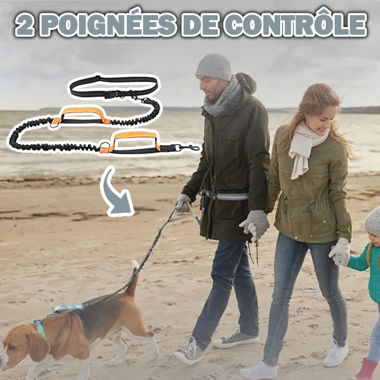 Laisse Mains libres | FreeLeash™