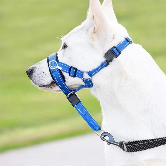 Muselière chien | SecurityCollar™