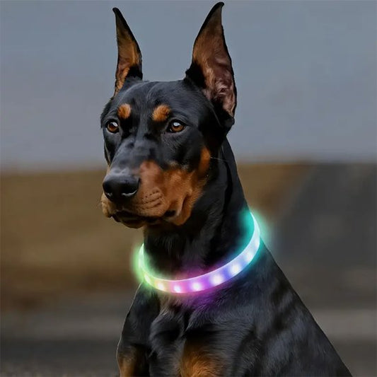 Collier pour chien | DuraSafe™