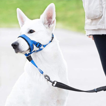 Muselière chien | SecurityCollar™