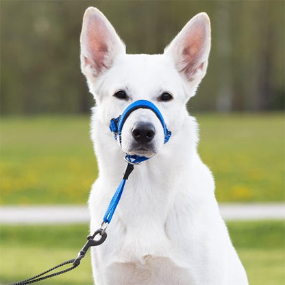 Muselière chien | SecurityCollar™