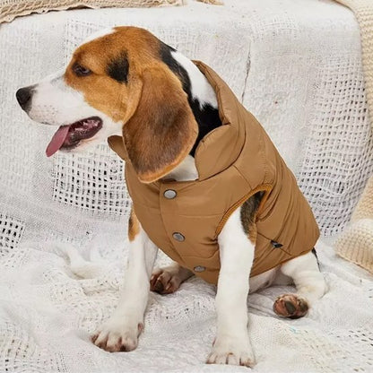 Manteau pour chien | Wintercoat™
