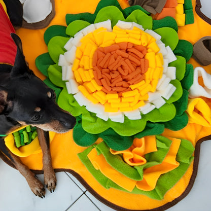 tapis de fouille chien antiderapant