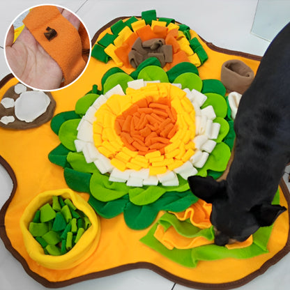 tapis de fouille friandises