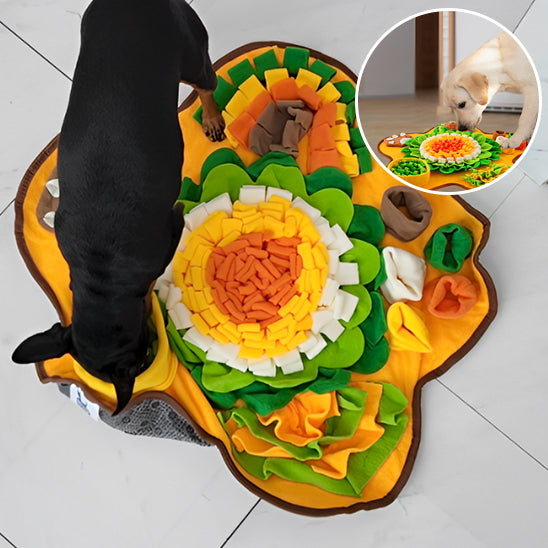 Tapis de fouille | FunnyCarpet™