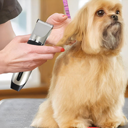 tondeuse chien puissante