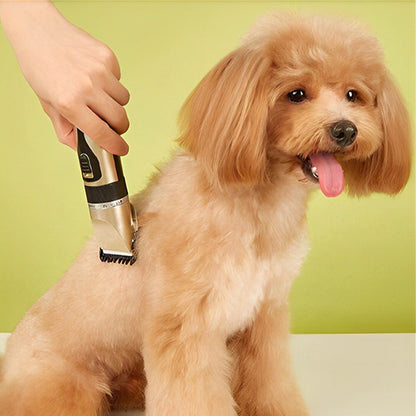 tondeuse chien rechargeable