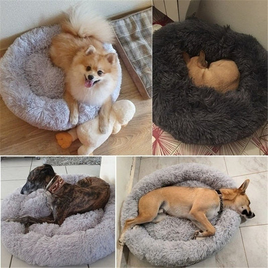 DoggyPouf™- Coussin doux pour chien - News-for-dog.com