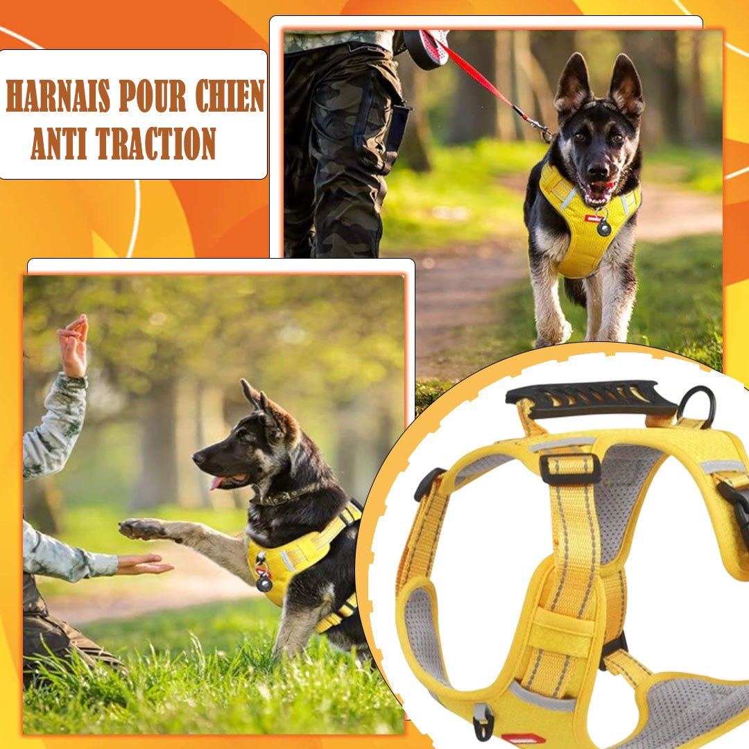 Harnais anti-traction Safety Harness ™ - News-for-dog.com