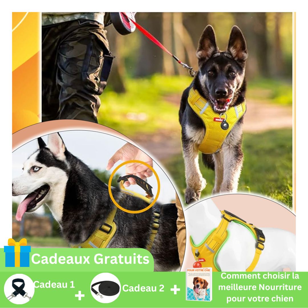 Harnais anti-traction - Safety Harness ™ - News-for-dog.com