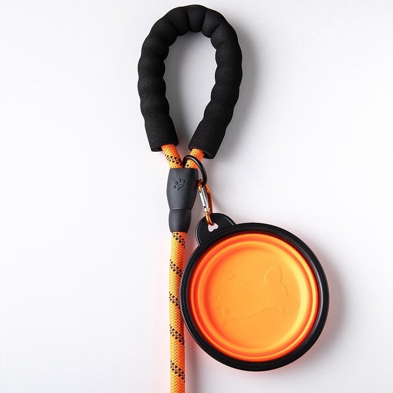 LaisseEduc™ - Corde en Nylon pour chien | Chien - News-for-dog.com